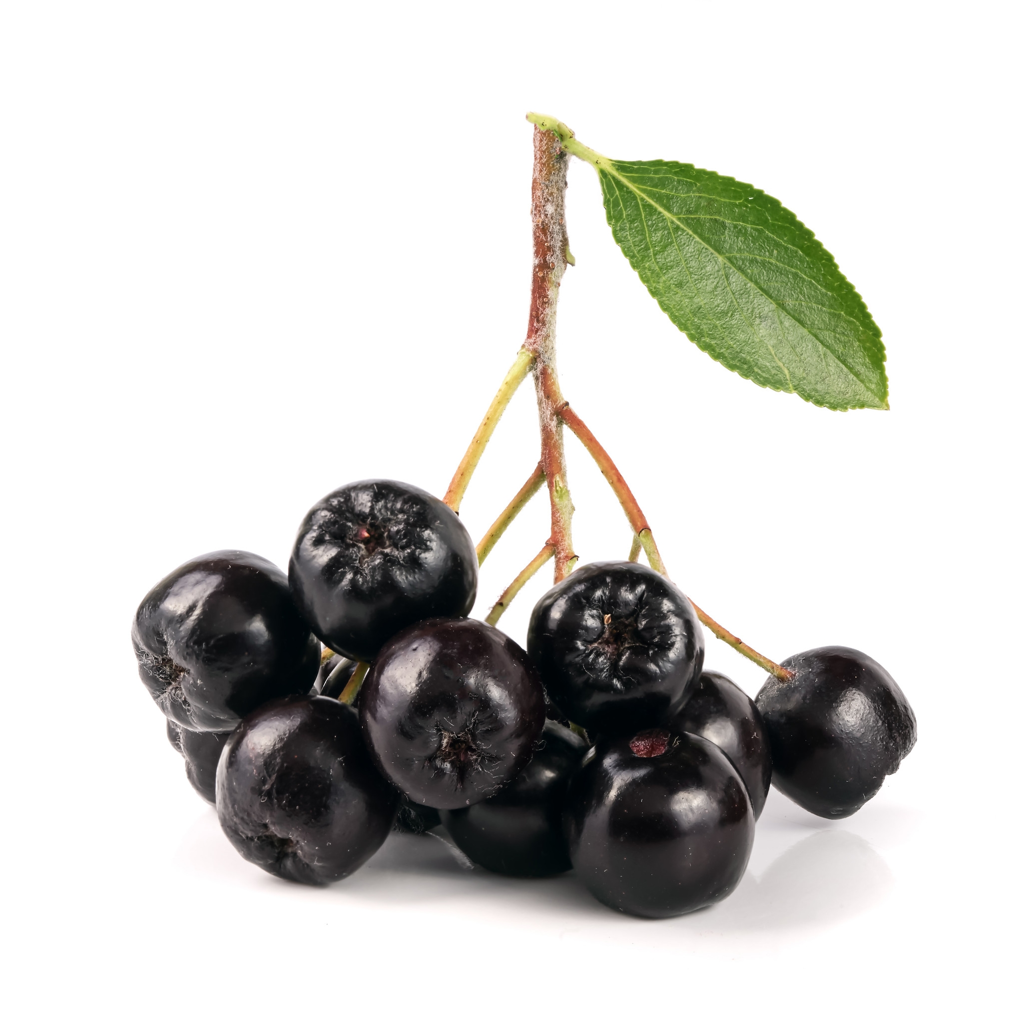 Ingredient: Sok z aronii