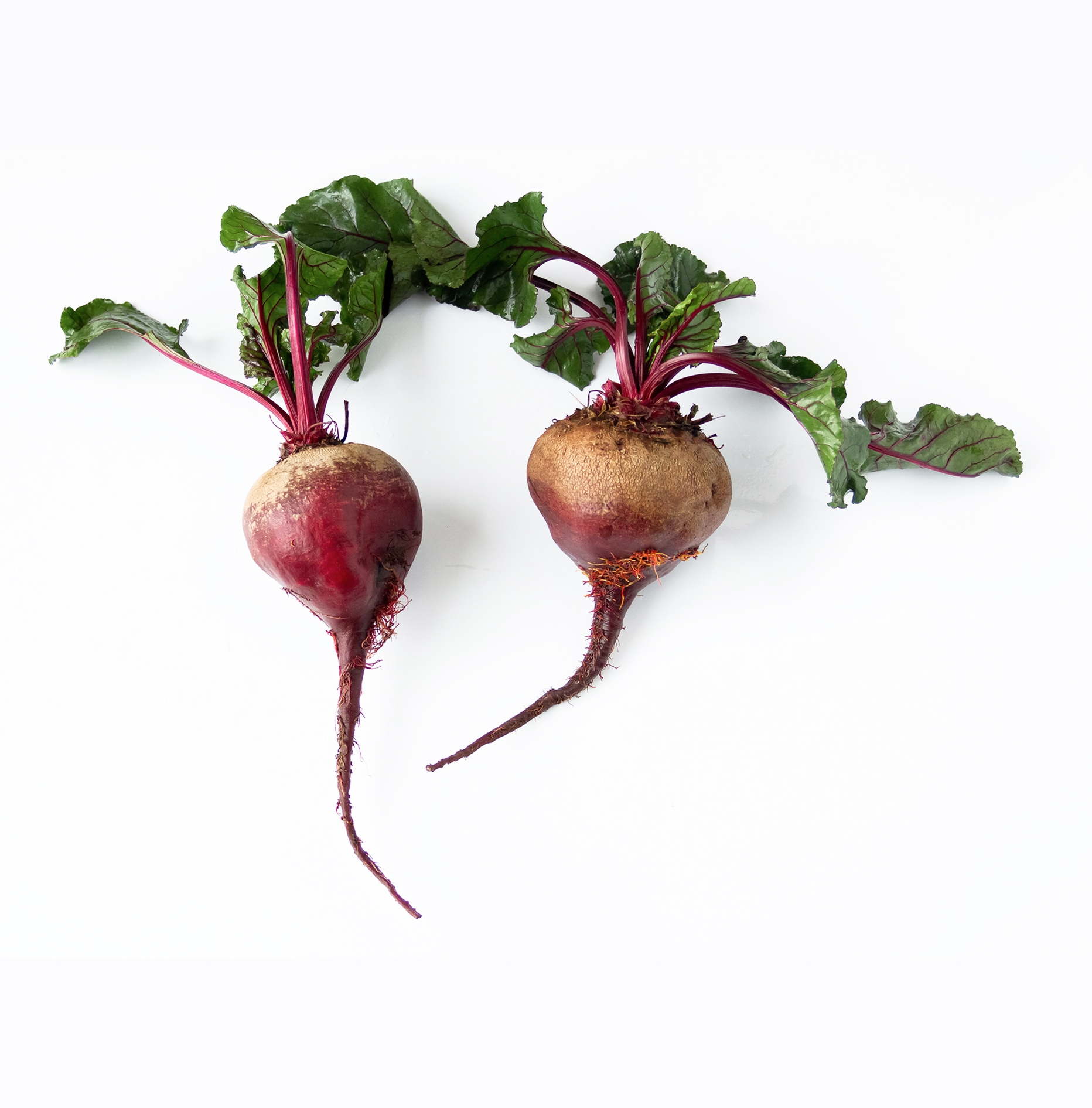 Ingredient: Ekstrakt z czerwonego buraka