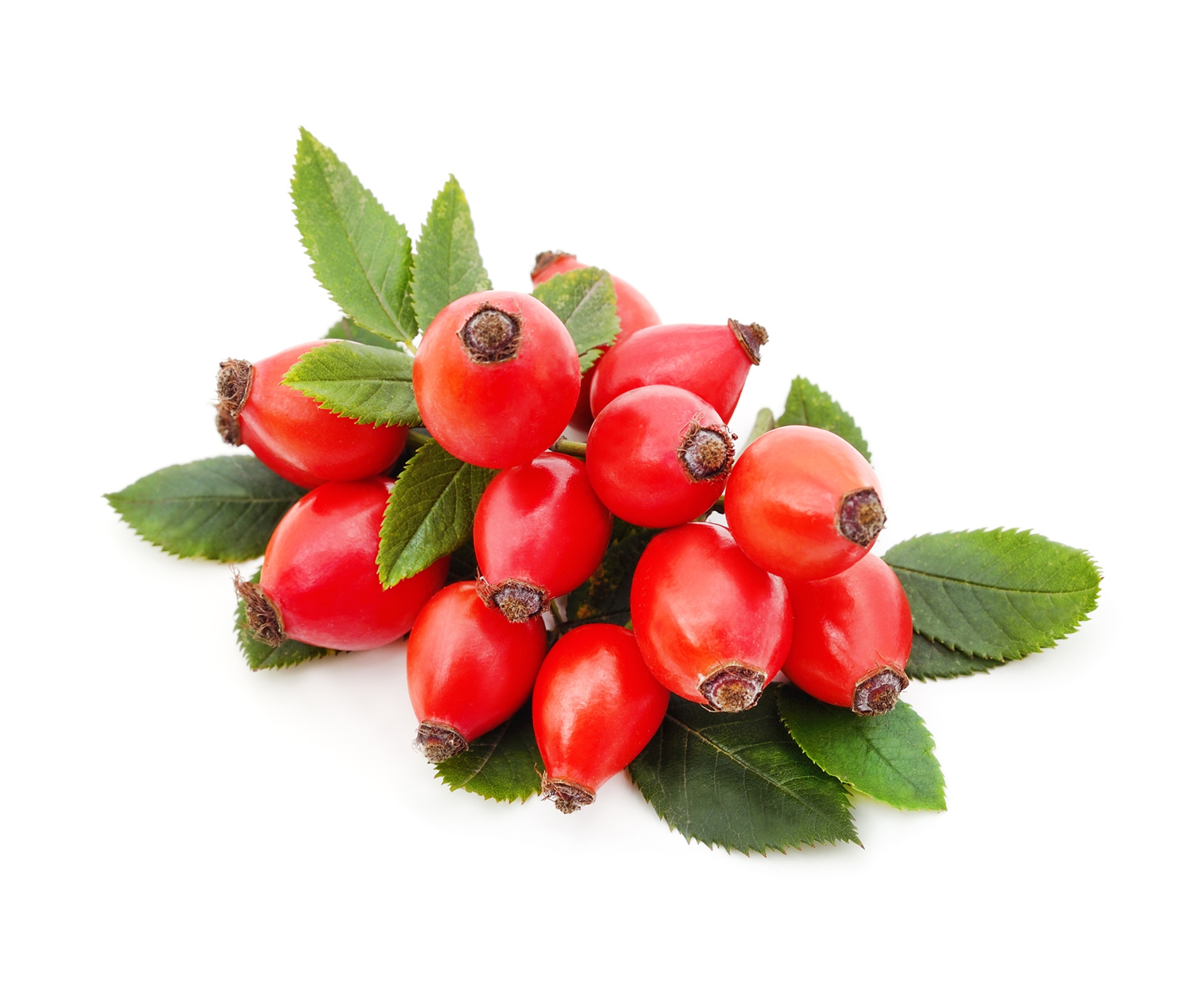 Ingredient: Sok z owoców dzikiej róży