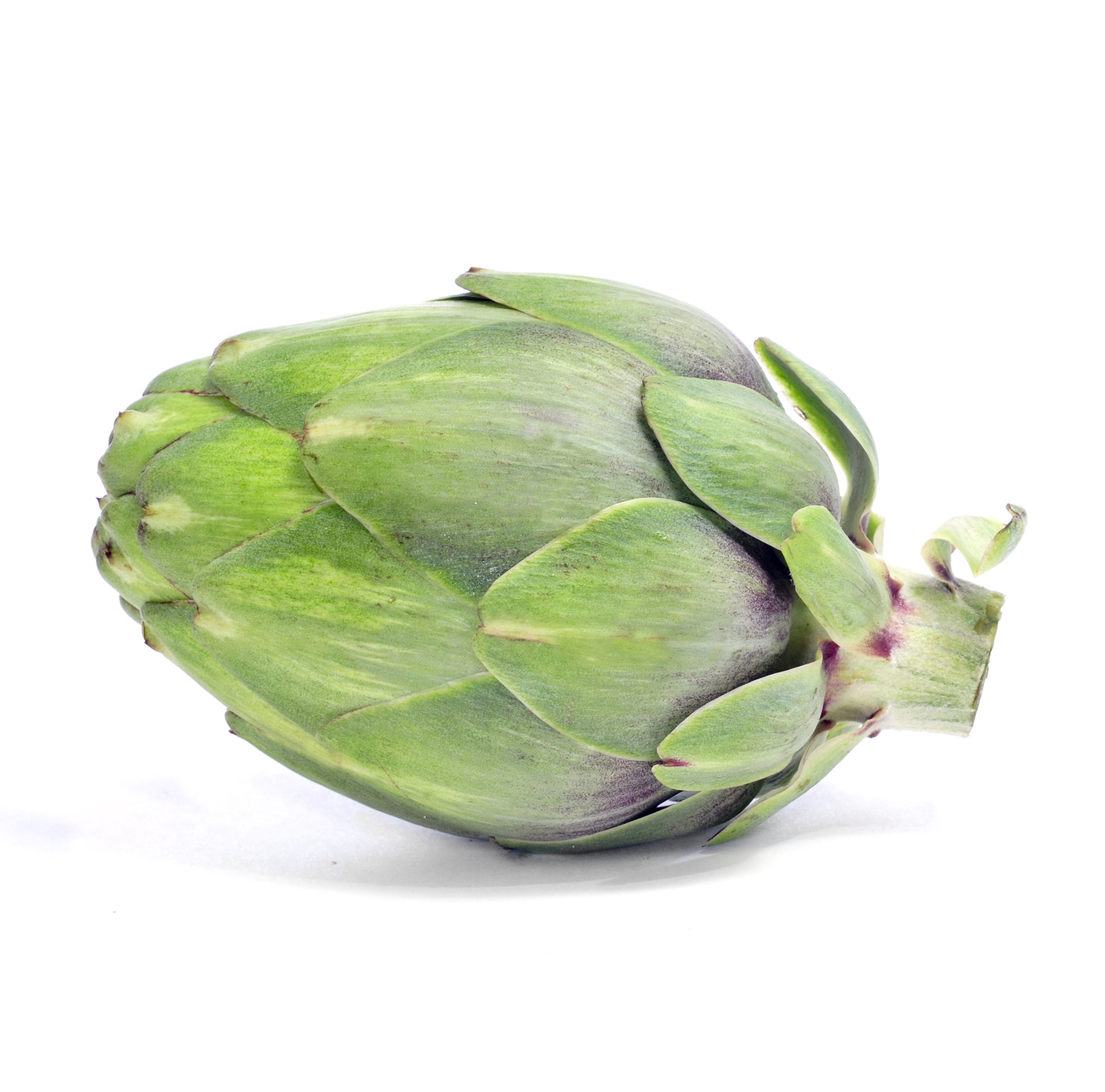 Ingredient: Ekstrakt z liści karczocha